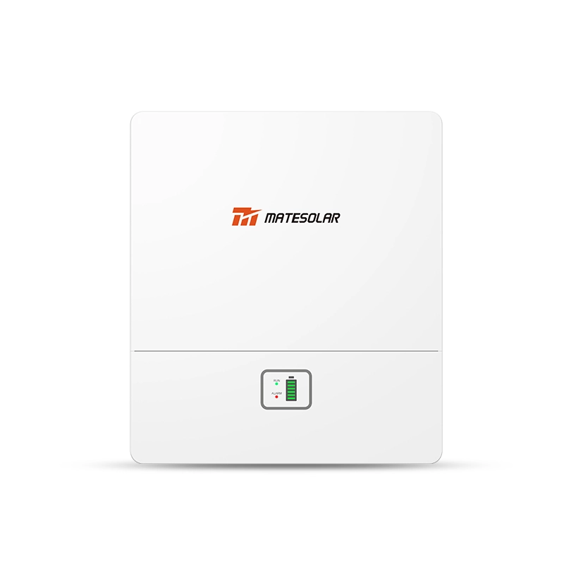 51.2V 100Ah LiFePO4 wall mount battery, high energy density, plug and play setup, durable & maintenance free for reliable power storage.