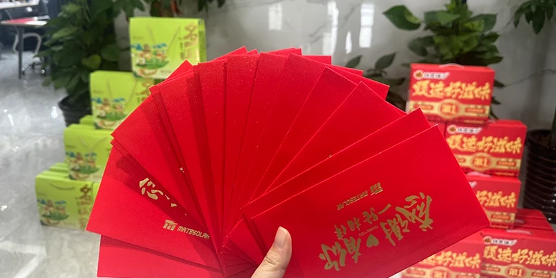 MateSolar da energía al Dragon Boat Fest: Unidad de equipo y tradición