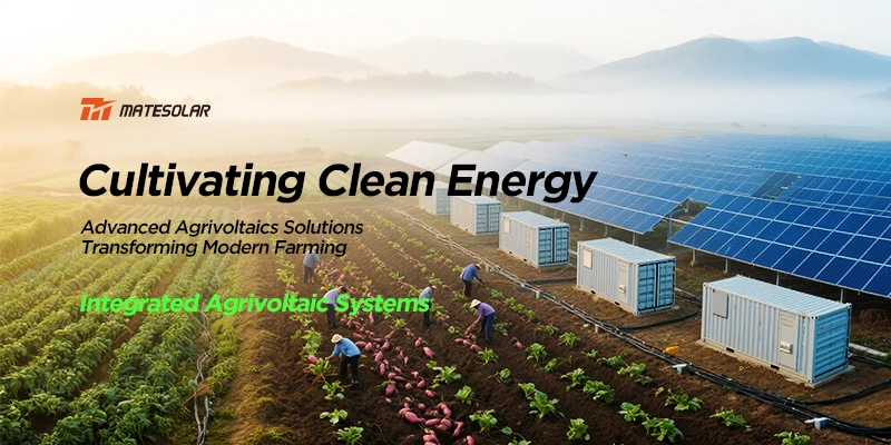 Cultivar energía limpia: Soluciones agrivoltaicas avanzadas que transforman la agricultura moderna
