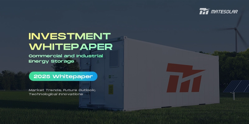 Whitepaper zu Investitionen in gewerbliche und industrielle Energiespeicher 2025: Markttrends, technologische Innovationen und Zukunftsaussichten