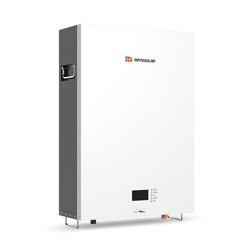 Exclusive wall mount LiFePO4 battery 48V 51.2V 5kWh 10kWh with Premium Quality